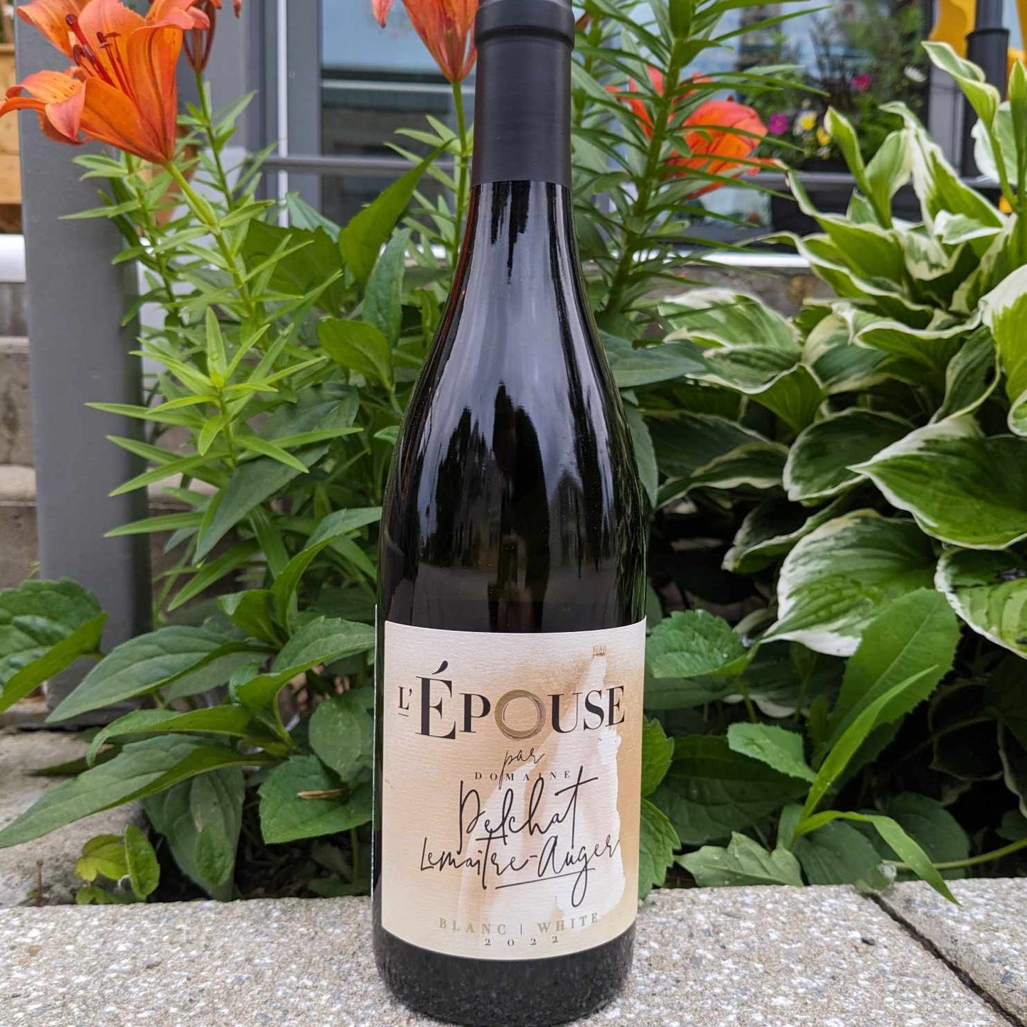 Vin L’Épouse